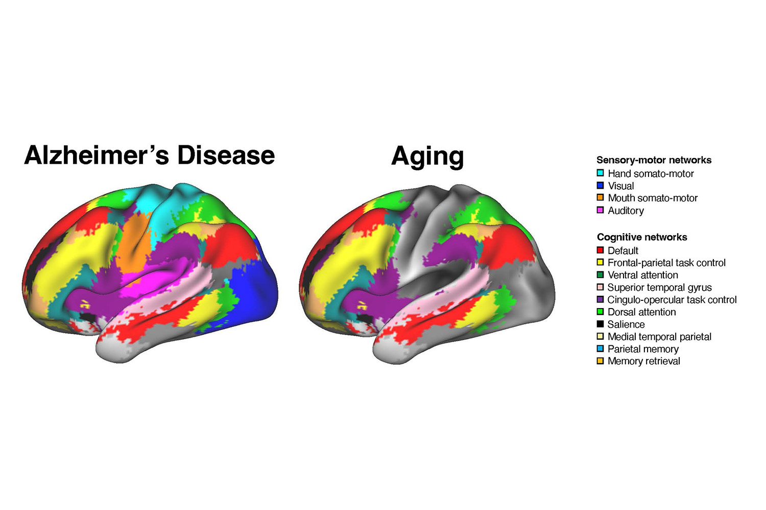 Alzheimer's Prediction Benchmark